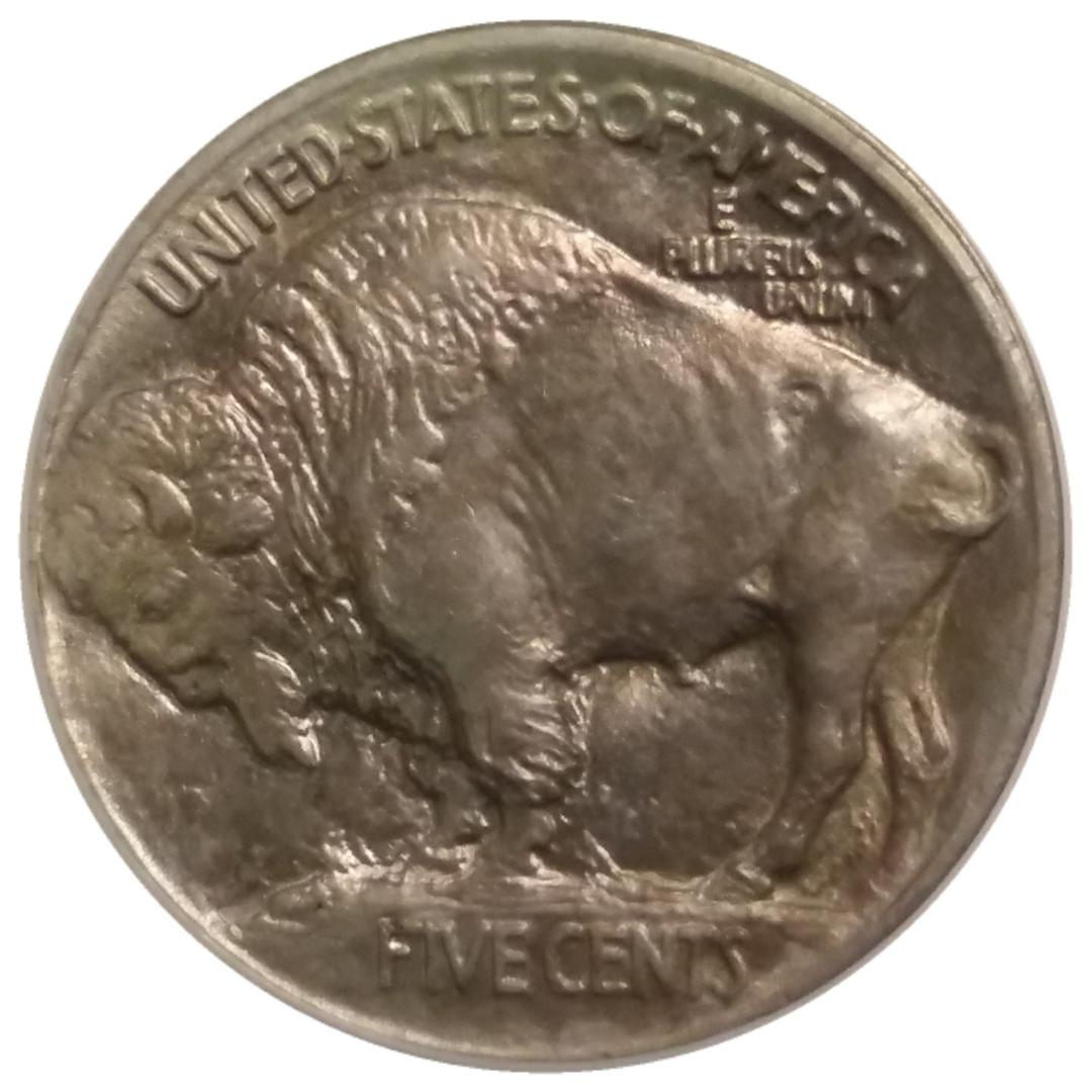 1913-5c-T1-Buffalo-Nickel-#7